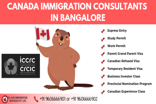 Best Consultants in Delhi for Study Visa Canada | Novusimmigrationdelhi.com